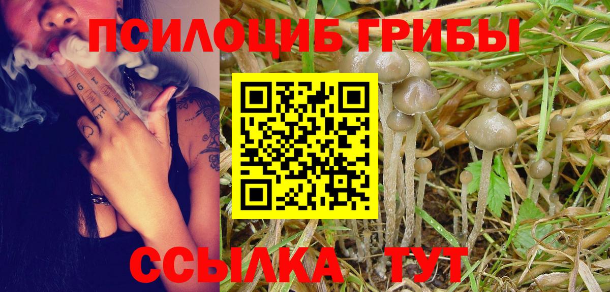 Галлюциногенные грибы Psilocybe  Псилоцибиновые грибы ЛСД  Барнаул  Вход с VPN 